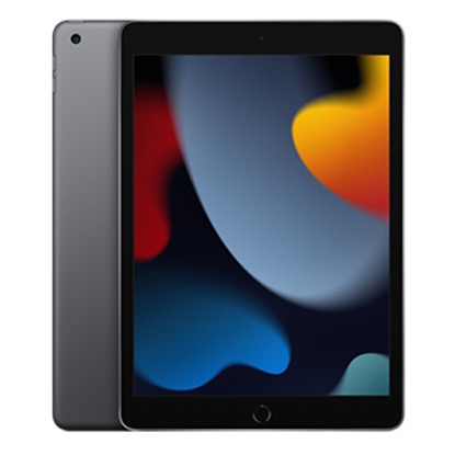 Picture of Apple 10.2-inch iPad Wi-Fi + Cellular 256GB - Space Grey